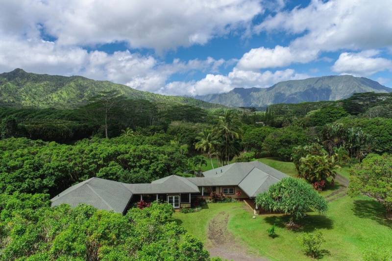 hawaii home surrounded by greenery