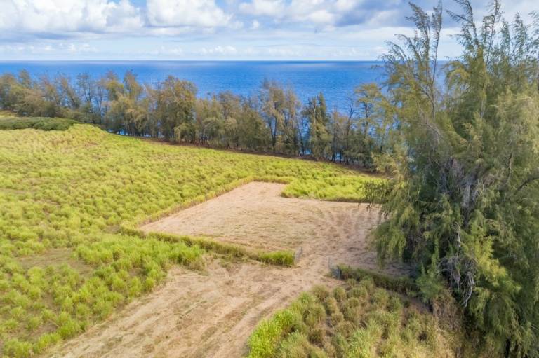Rare Offering on the Hamakua Coast Hawaii Real Estate Market & Trends