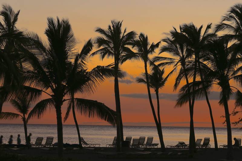silhouetted palm trees in front of orange sunset sky at mauna lani resort beach