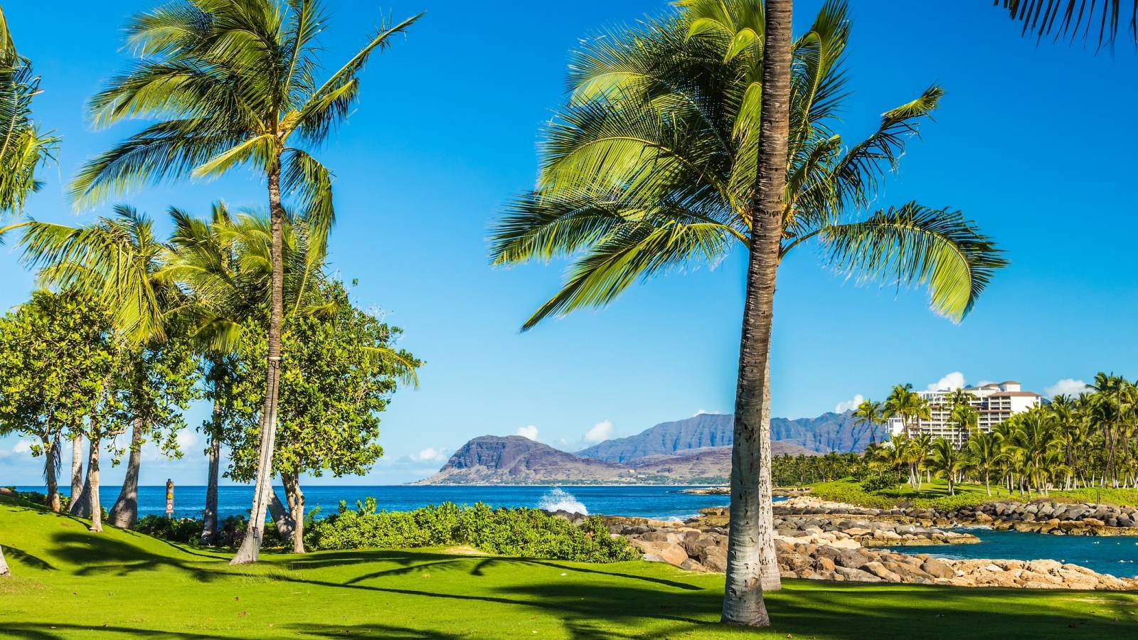 Choosing the Right Real Estate Brokerage in Hawaii Hawaii Real Estate