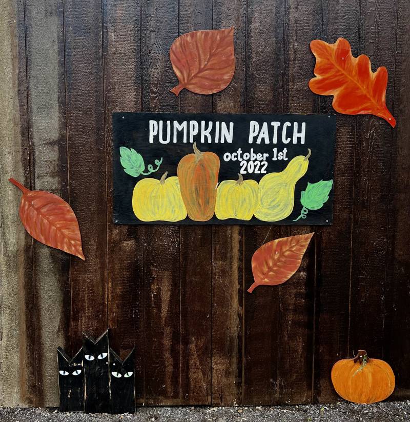 pumpkin patch october 1st 2022