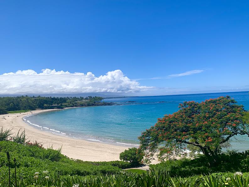 beach at mauna kea resort big island hawaii