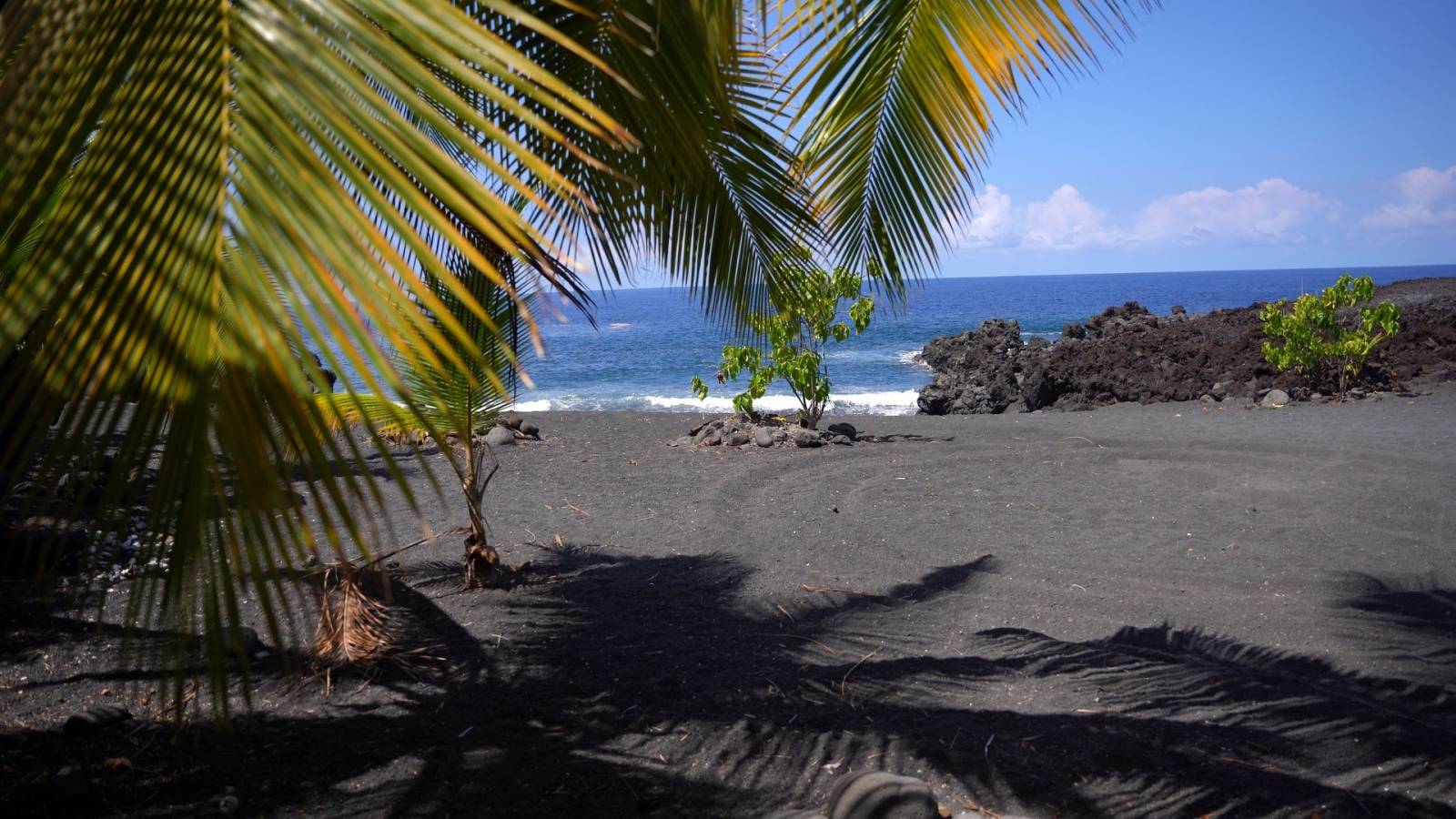Big Island Concierge Auction Conservation and Legacy Lands