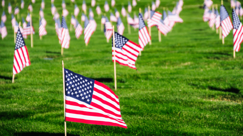 hundreds of american flag in the grass in rememberance