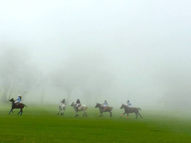 5 people on horses playing polo on a misty morning in hawaii