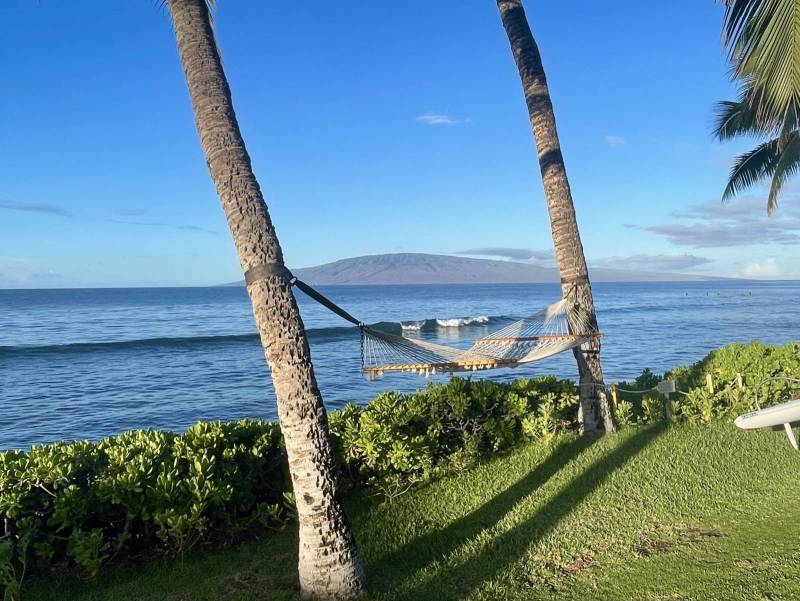 hammock supported by two palm trees on the grass in front of ocean in lahaina maui