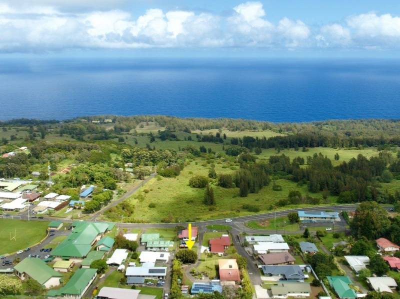 aerial view of neighborhood by the ocean with arrow pointing to honokaa lot for sale