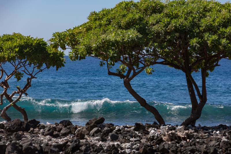 waves crashing on black rock beach on big island hawaii