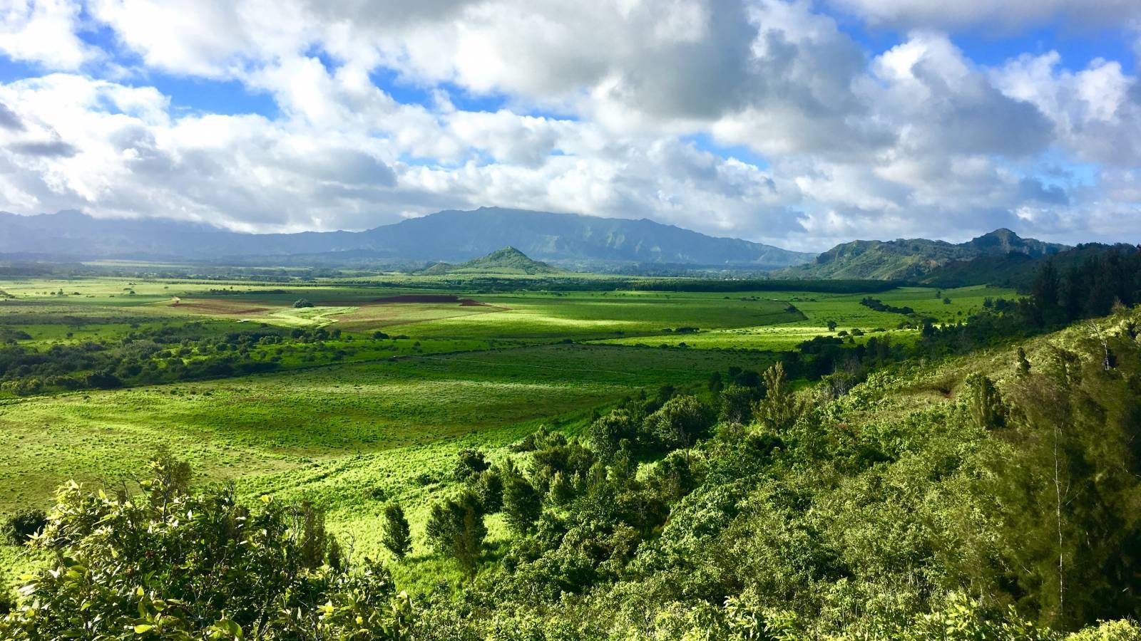 Buying a Home on Kauai Real Estate Home Sales Through October 2022