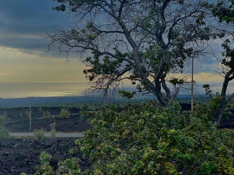 Improved 3 Acres In Kona Gardens Hawaii Real Estate Market & Trends