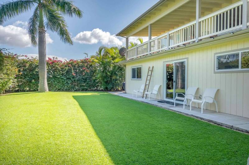 grass in backyard with large palm tree