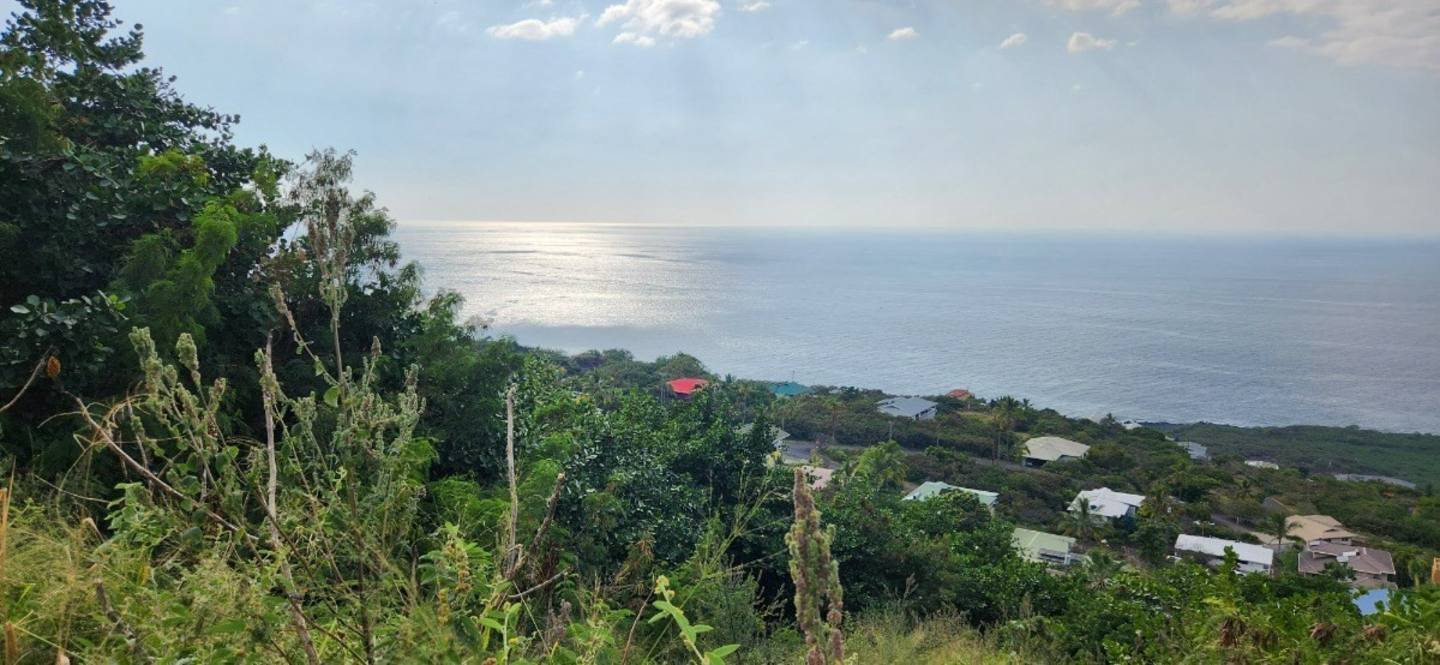Just Listed Kona Paradise Lot on Ea Rd. Hawaii Real Estate Market
