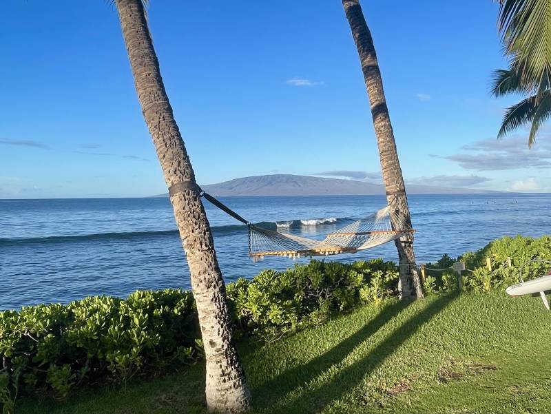 hammock in between two palm trees near the ocean in west maui