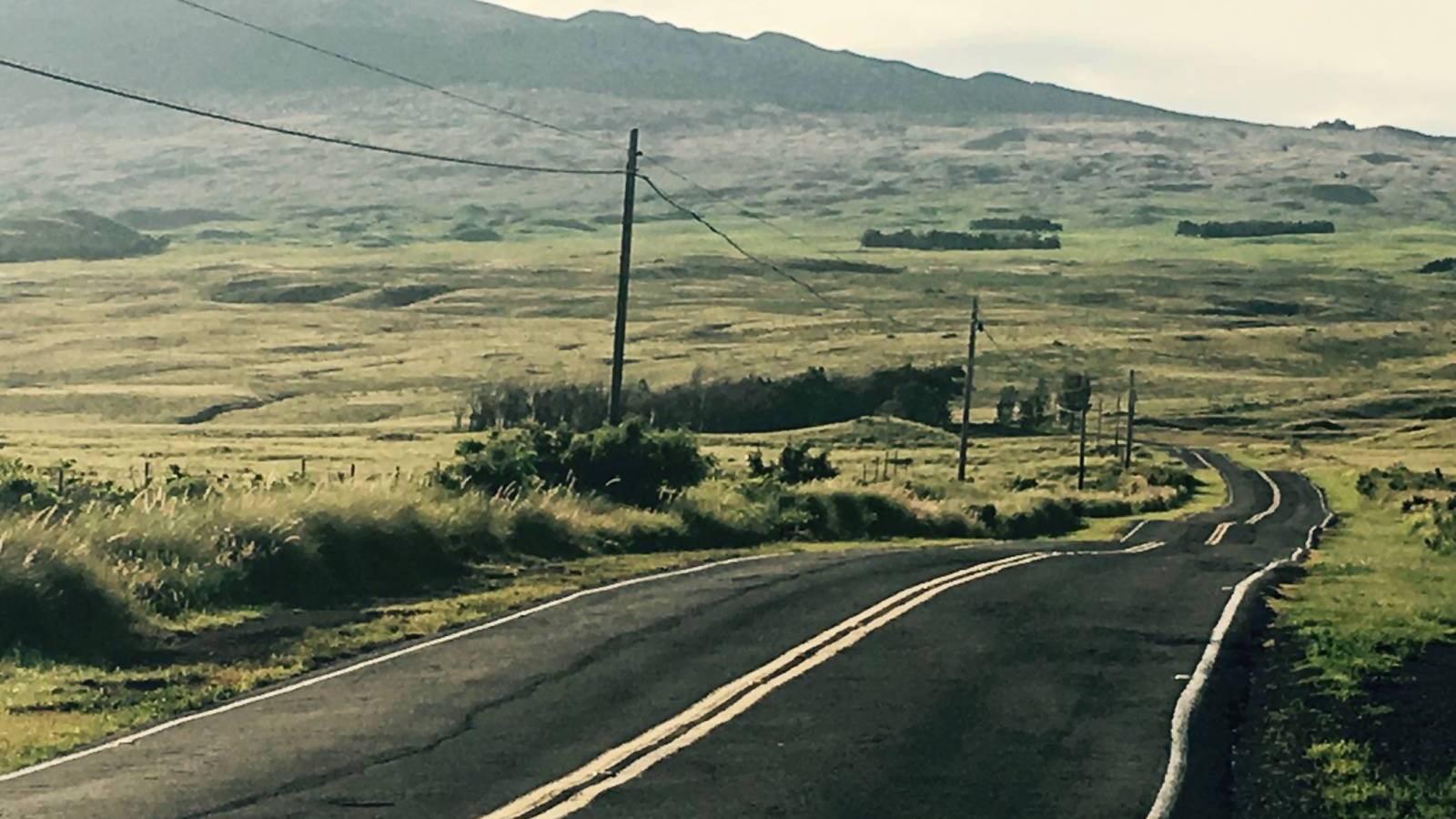 Traffic Laws in Hawaii Hawaii Real Estate Market & Trends Hawaii Life