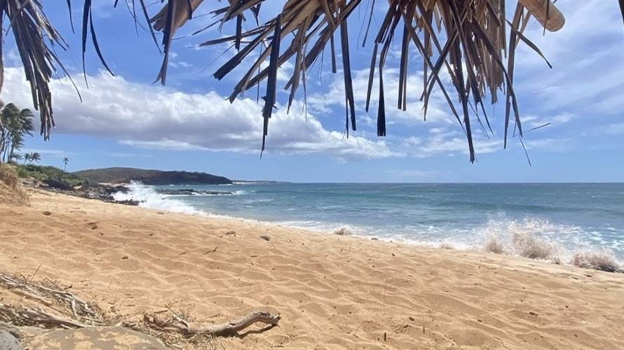 Take a Video WalkThrough of This BeachyChic Studio Priced Under