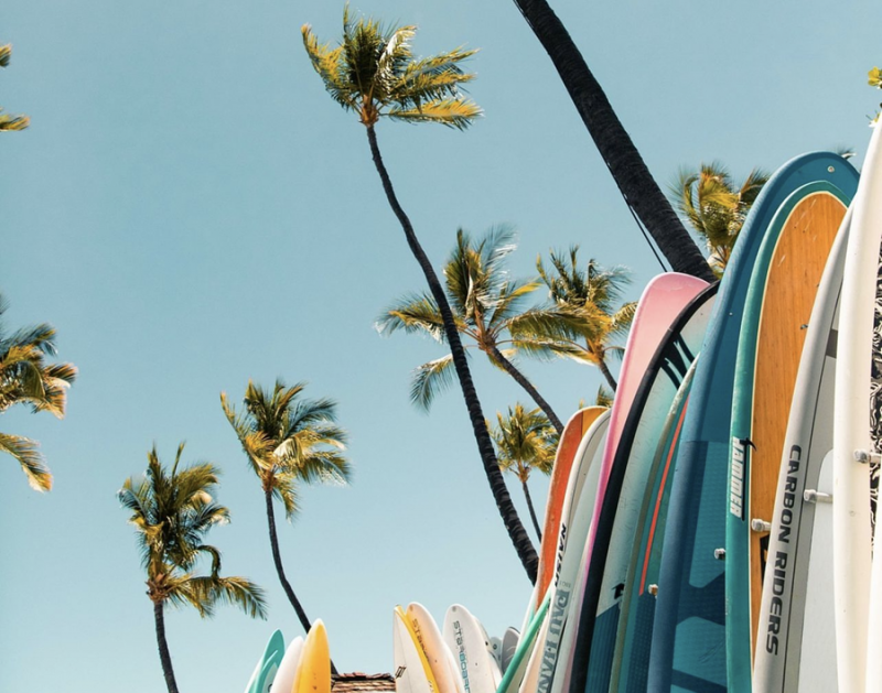 surf boards lined up with palm trees in the background