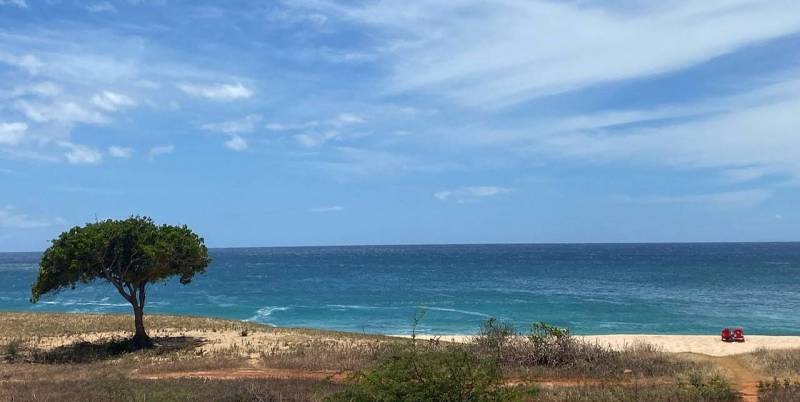 looking at the ocean from beach on molokai
