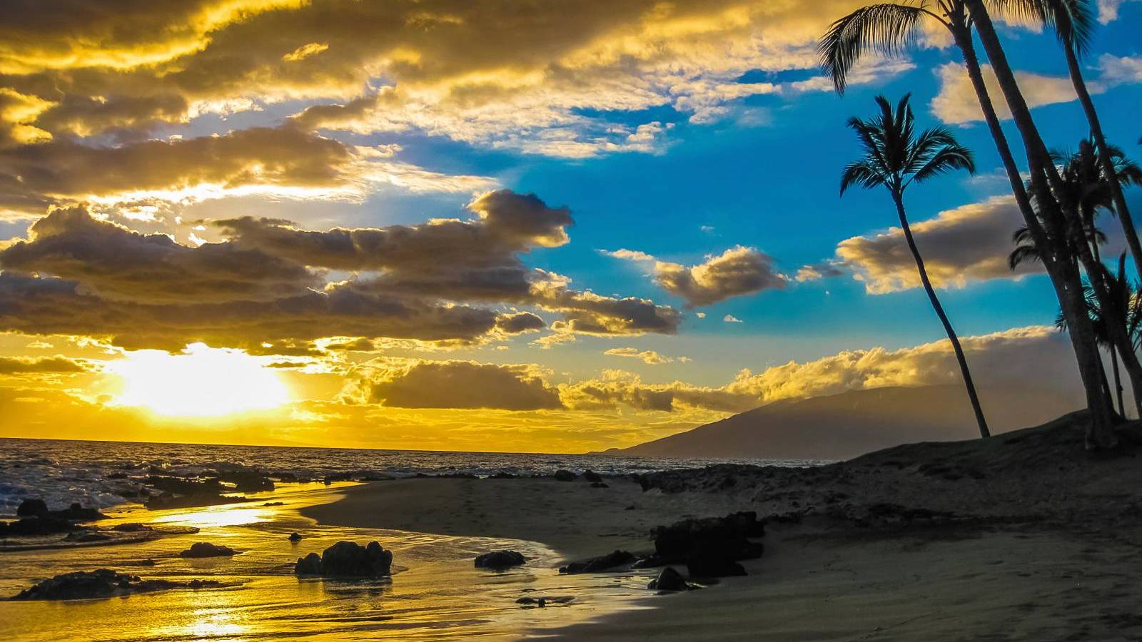 Maui Weekend Events February 3 Hawaii Real Estate Market & Trends