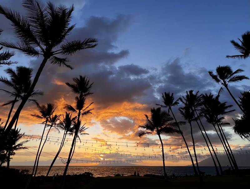 silhouetted palm trees at sunset on the beach in south maui