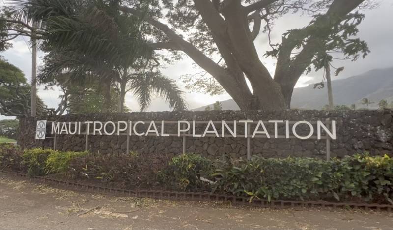 maui tropical plantation