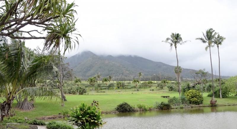 misty mountain view at maui tropical plantation