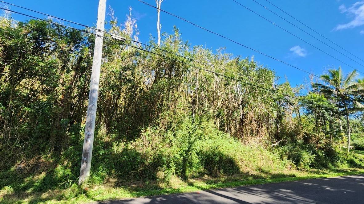 Build Your Home on a 1 Acre in Pahoa - Hawaii Real Estate Market ...