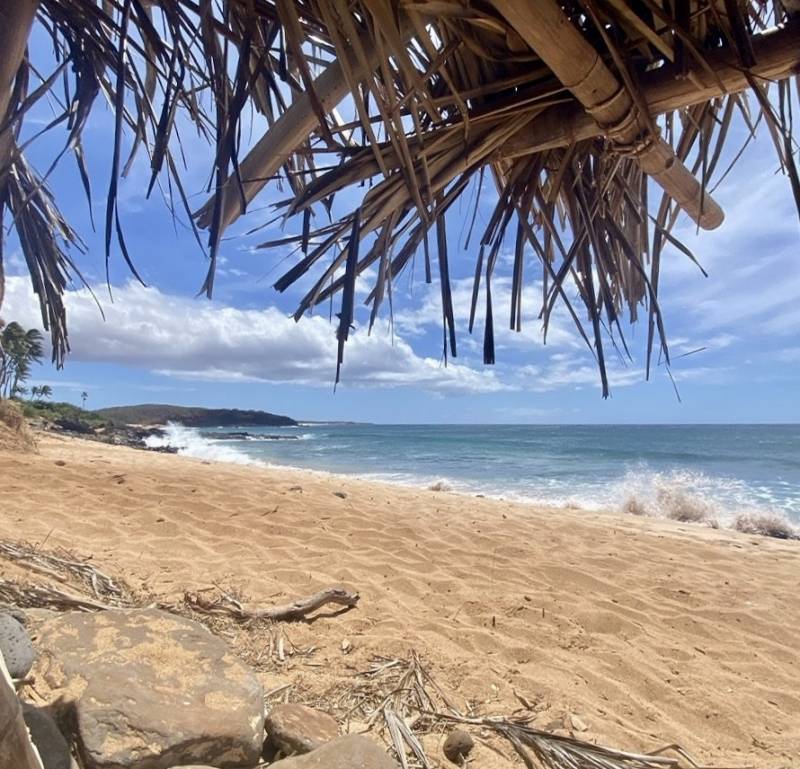 waves crash on molokai beach view from under palm fronds