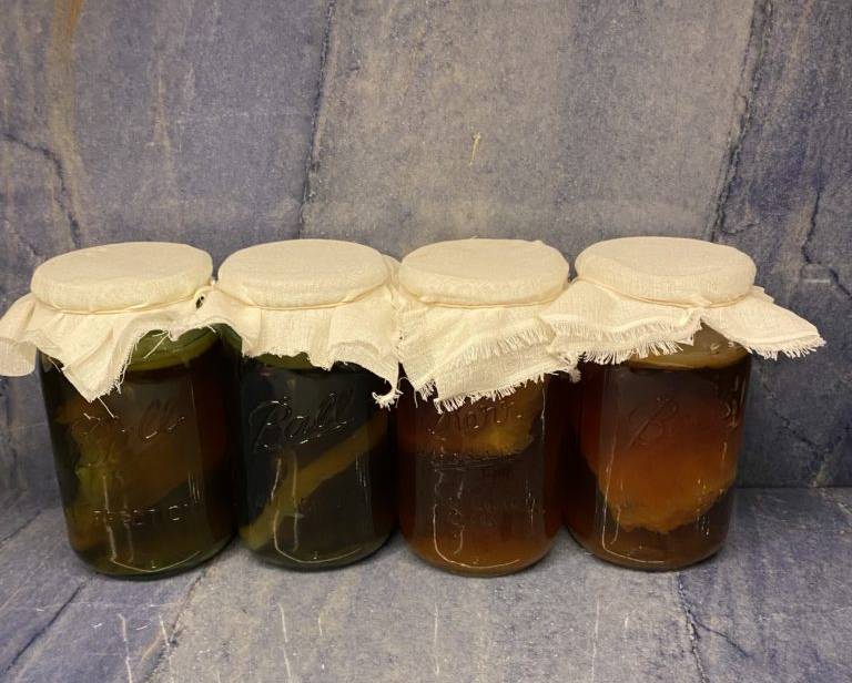 4 jars filled with kombucha scoby