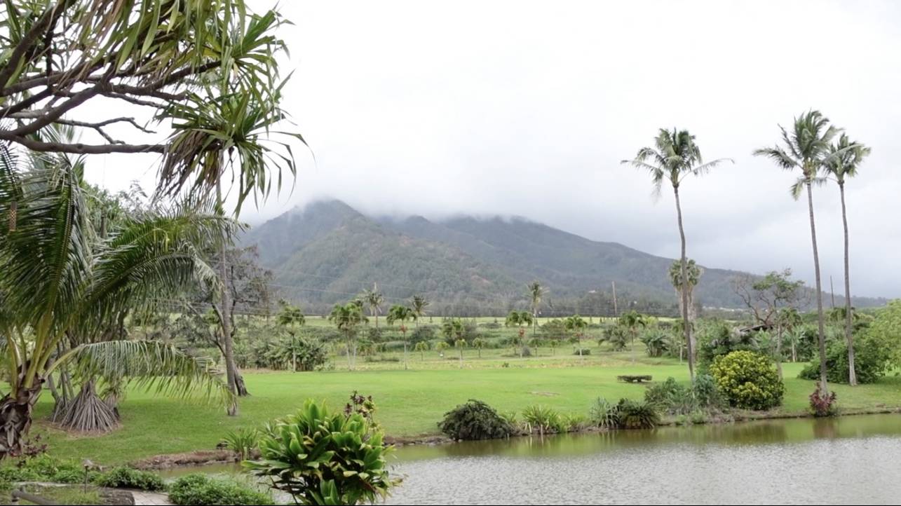 Maui Tropical Plantation Things To Do in Maui Tom Tezak, Hawaii Life