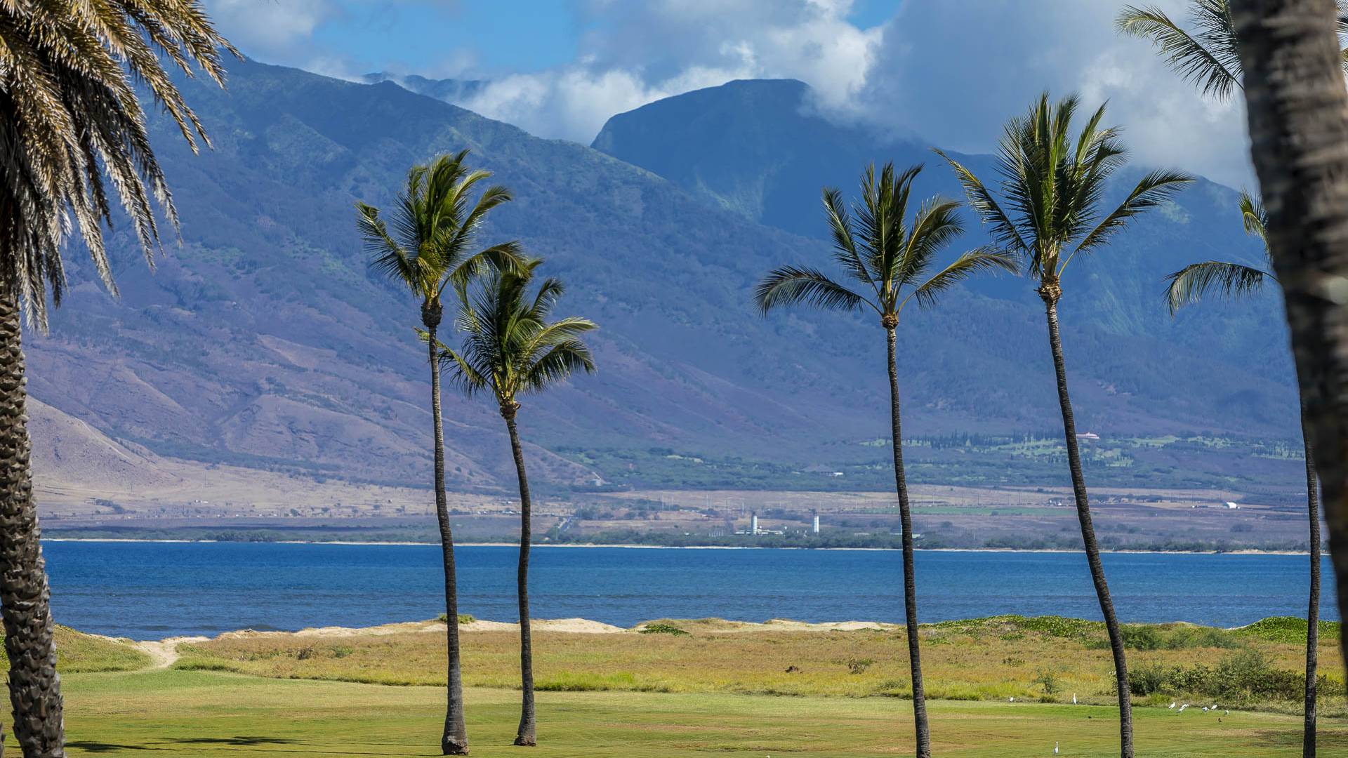 Dreaming of the Lovely Luana Kai Oceanfront Resort Hawaii Real Estate
