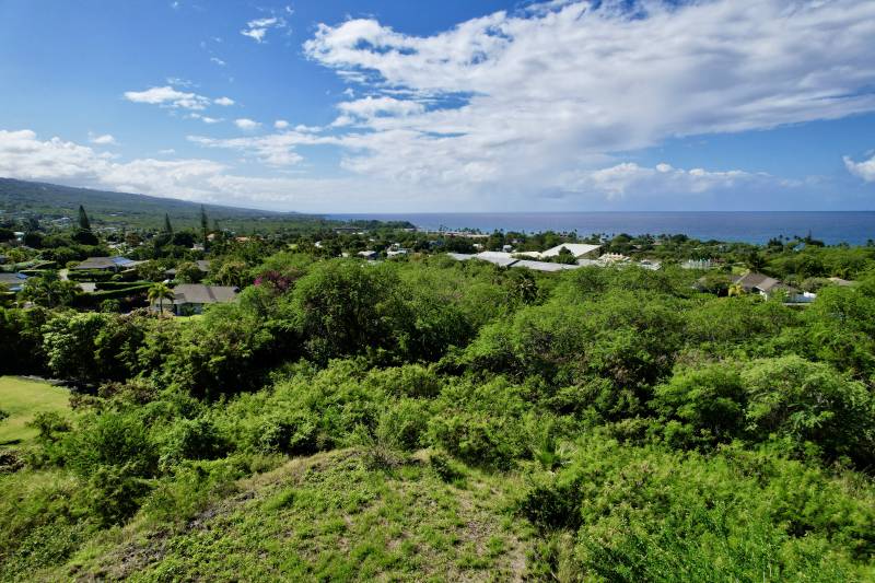 lush green plants and ocean view on big island lot for sale