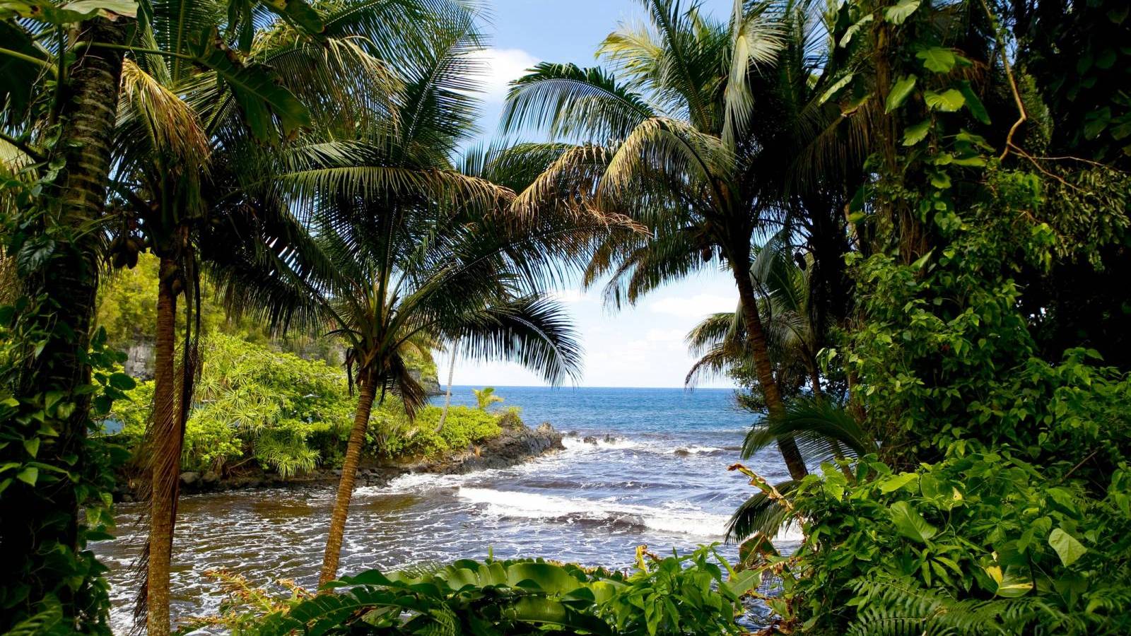 Big Island Vacation Explorer Package - Hawaii Real Estate Market & Trends - Vimarsana News