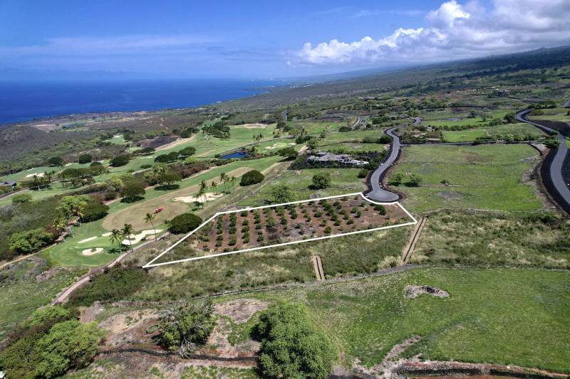 aerial view of farm at hokulia on big island hawaii