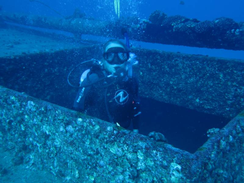 diving in waikiki oahu