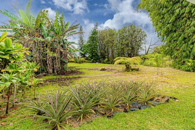 Movein Ready Home in Mountain View, Big Island Hawaii Real Estate