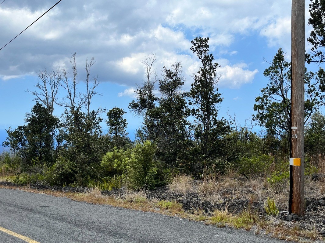 One Acre Lot in Mid Ocean View Estate on the Big Island Hawaii Real