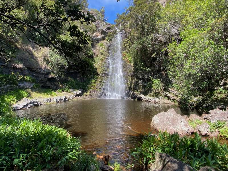 waterfall on waimea big island property for sale