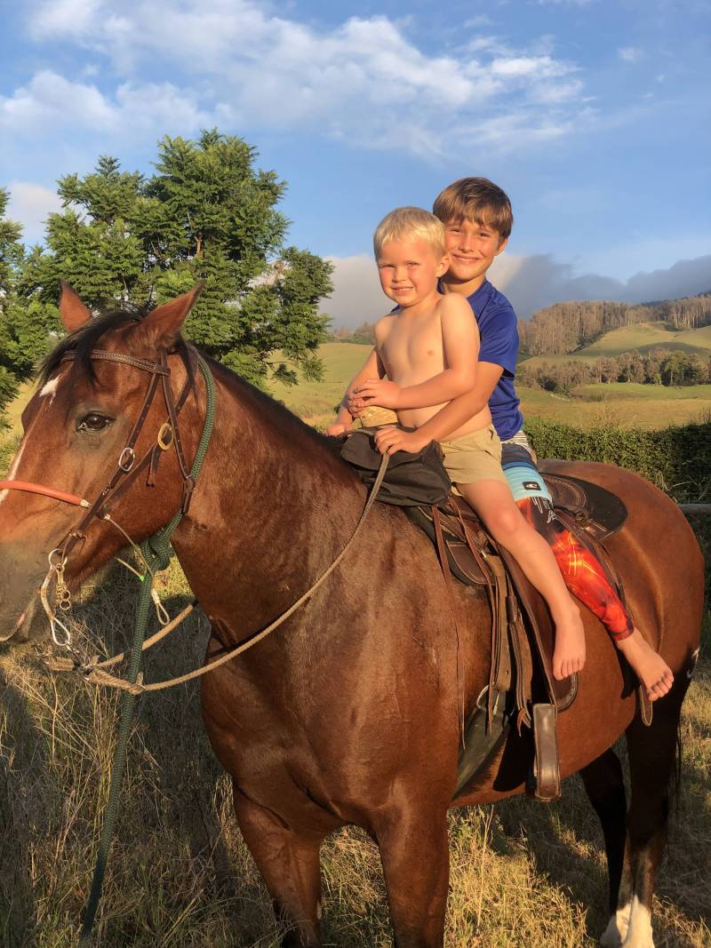 two boys sitting on a horse