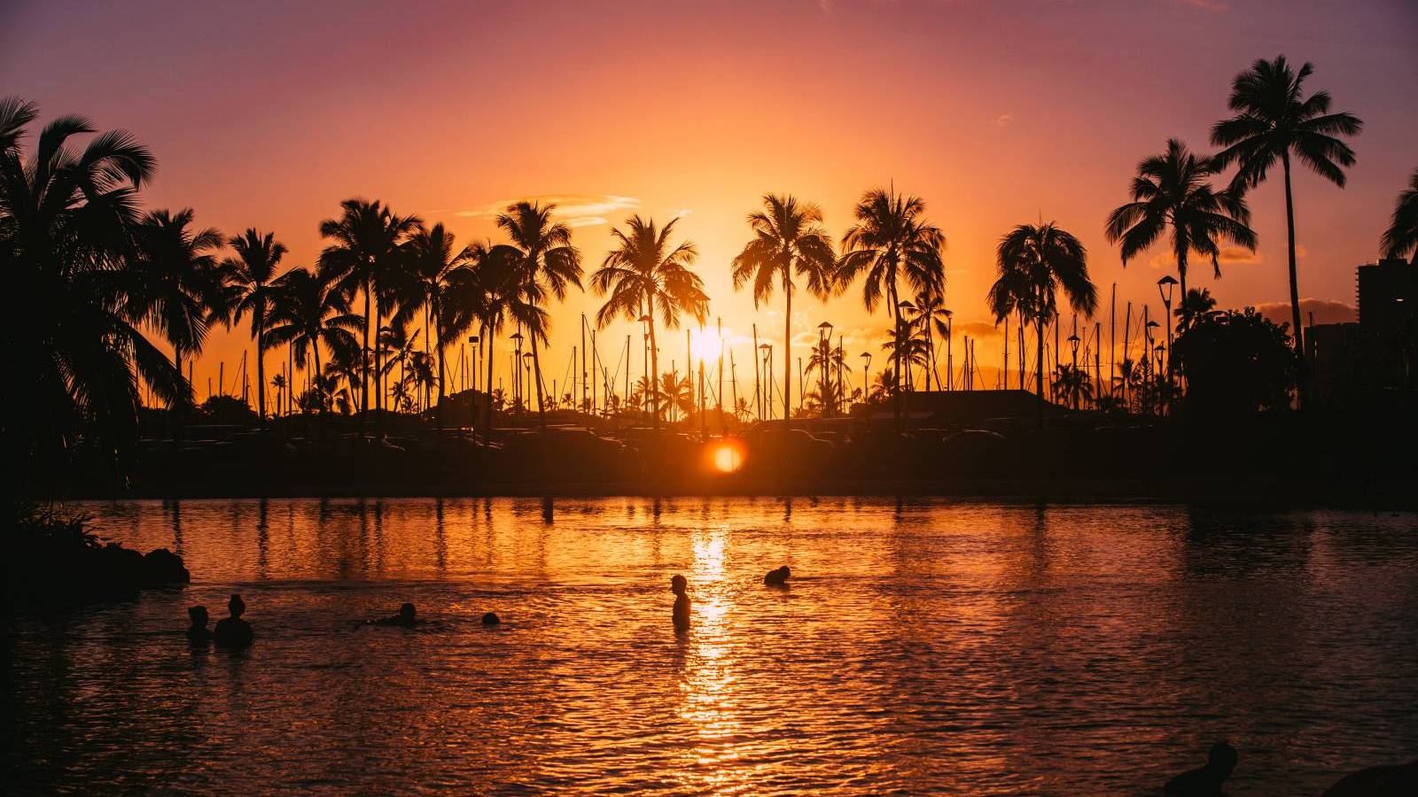 Legal ShortTerm Rental in the Heart of Waikiki The Aqua Palms Waikiki