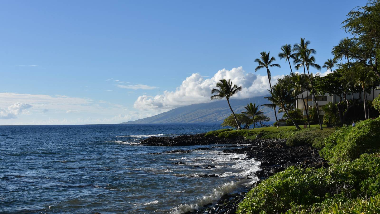 Some West Maui Vacation Rentals Have Become Long-Term Housing