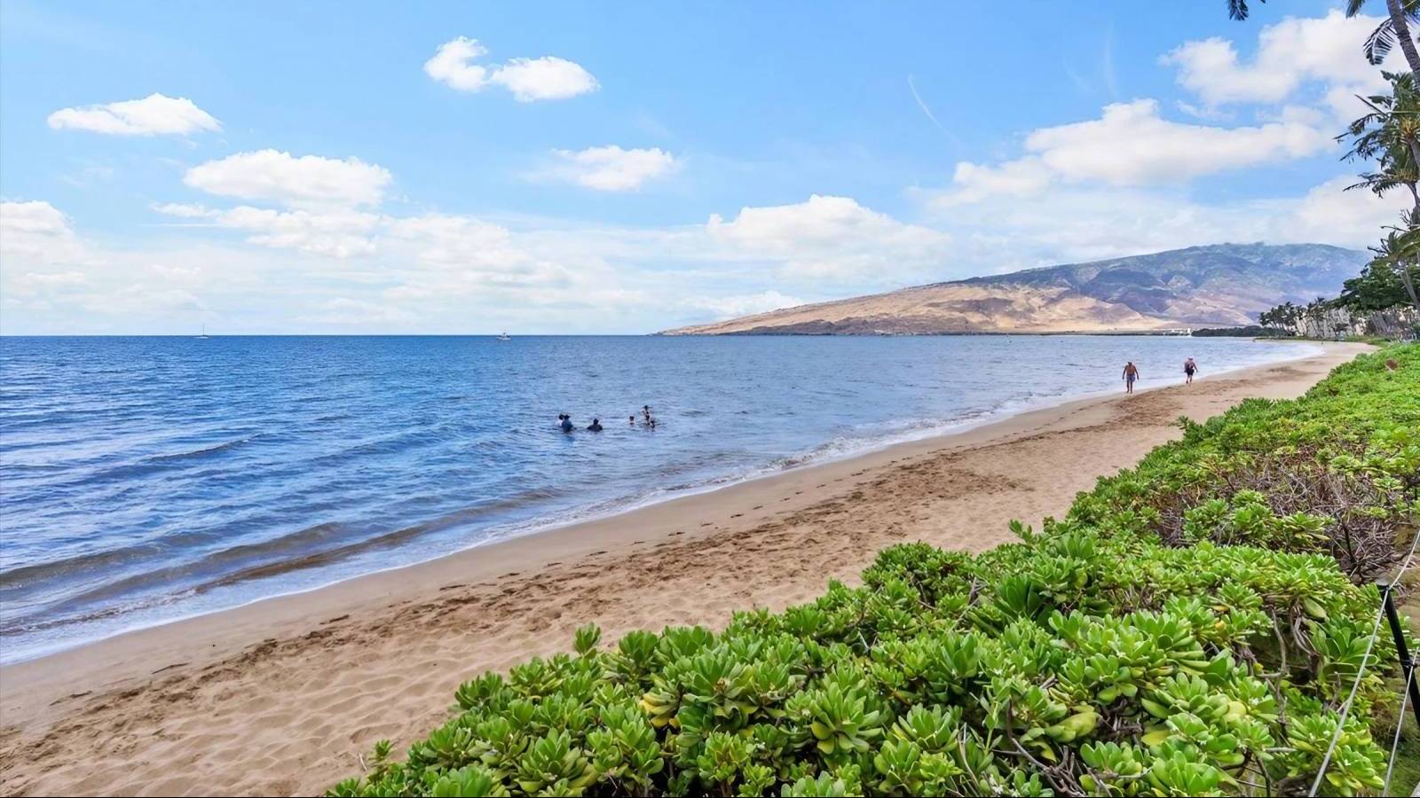 Maui Real Estate Market Update, July 2023 Hawaii Real Estate Market