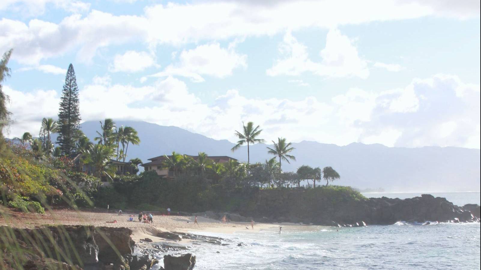 What Do Realtors Do All Day, Every Day? Hawaii Real Estate Market