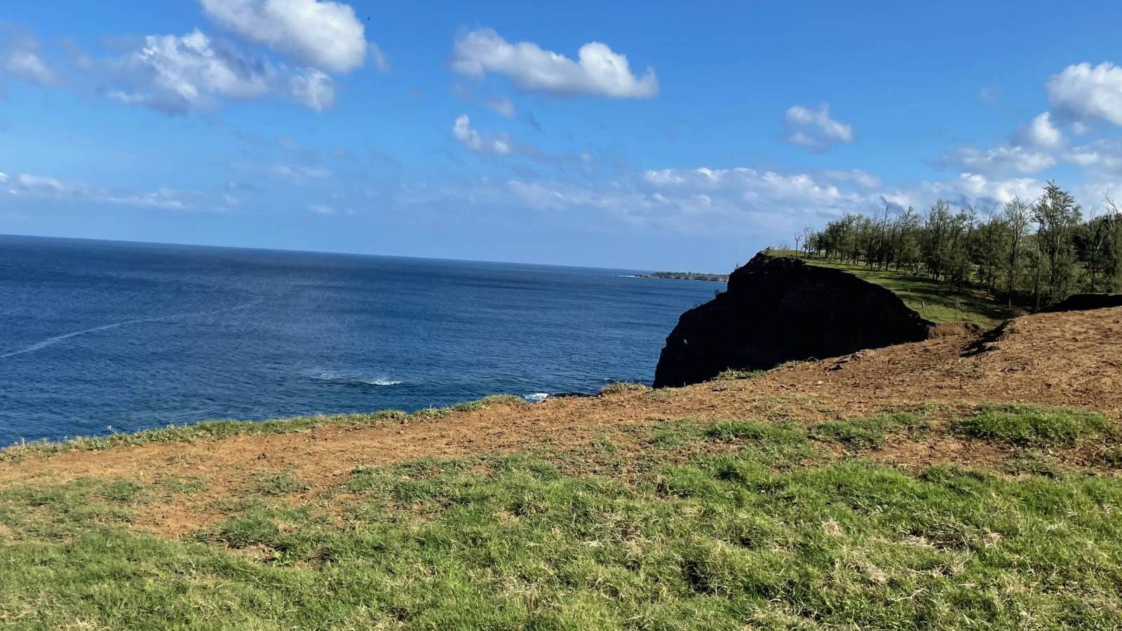 What Can I Do on AgZoned Land (Hawaiʻi Island) Hawaii Real Estate