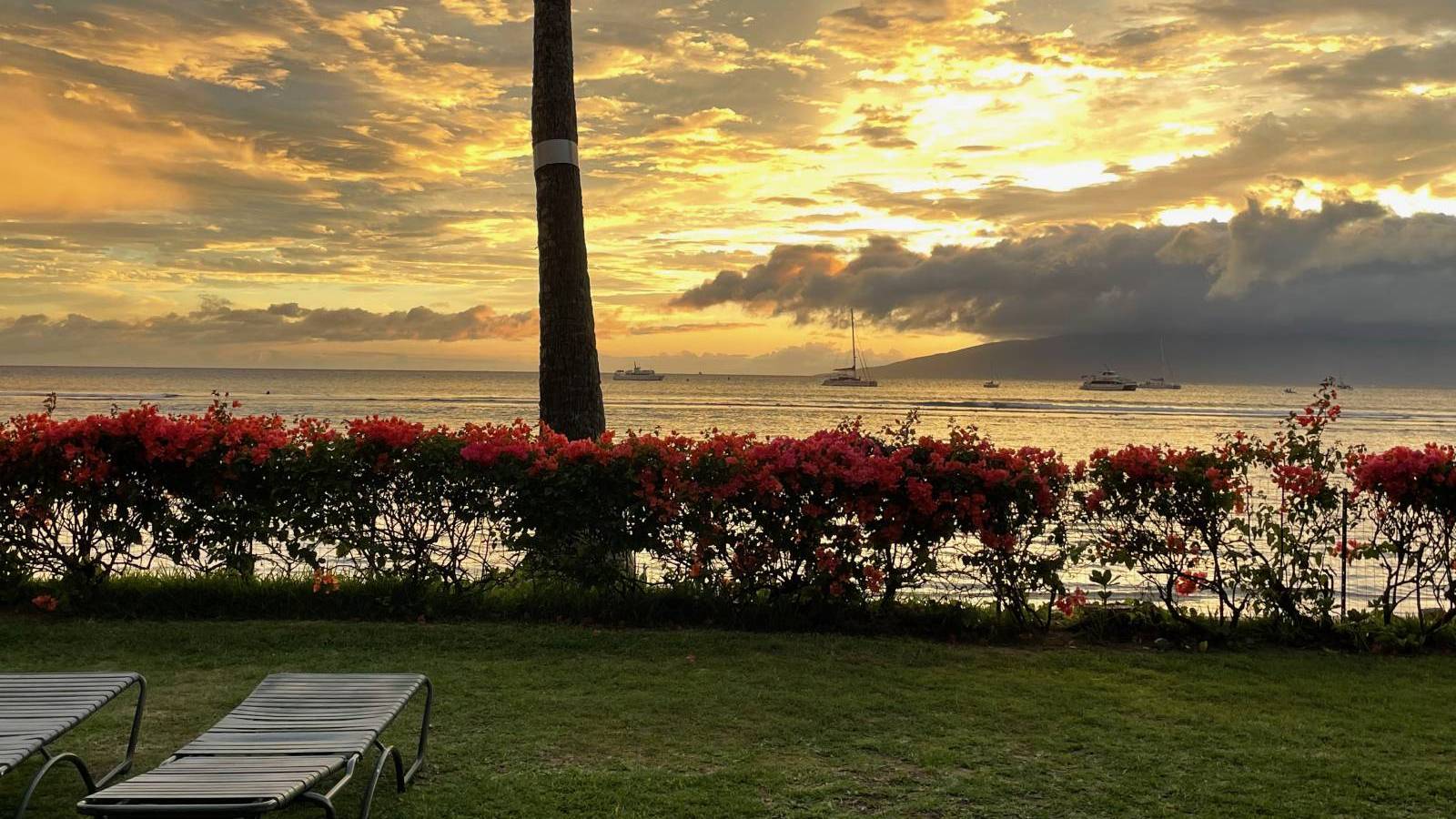Maui Still Needs Your Support! - Hawaii Real Estate Market & Trends - Vimarsana News