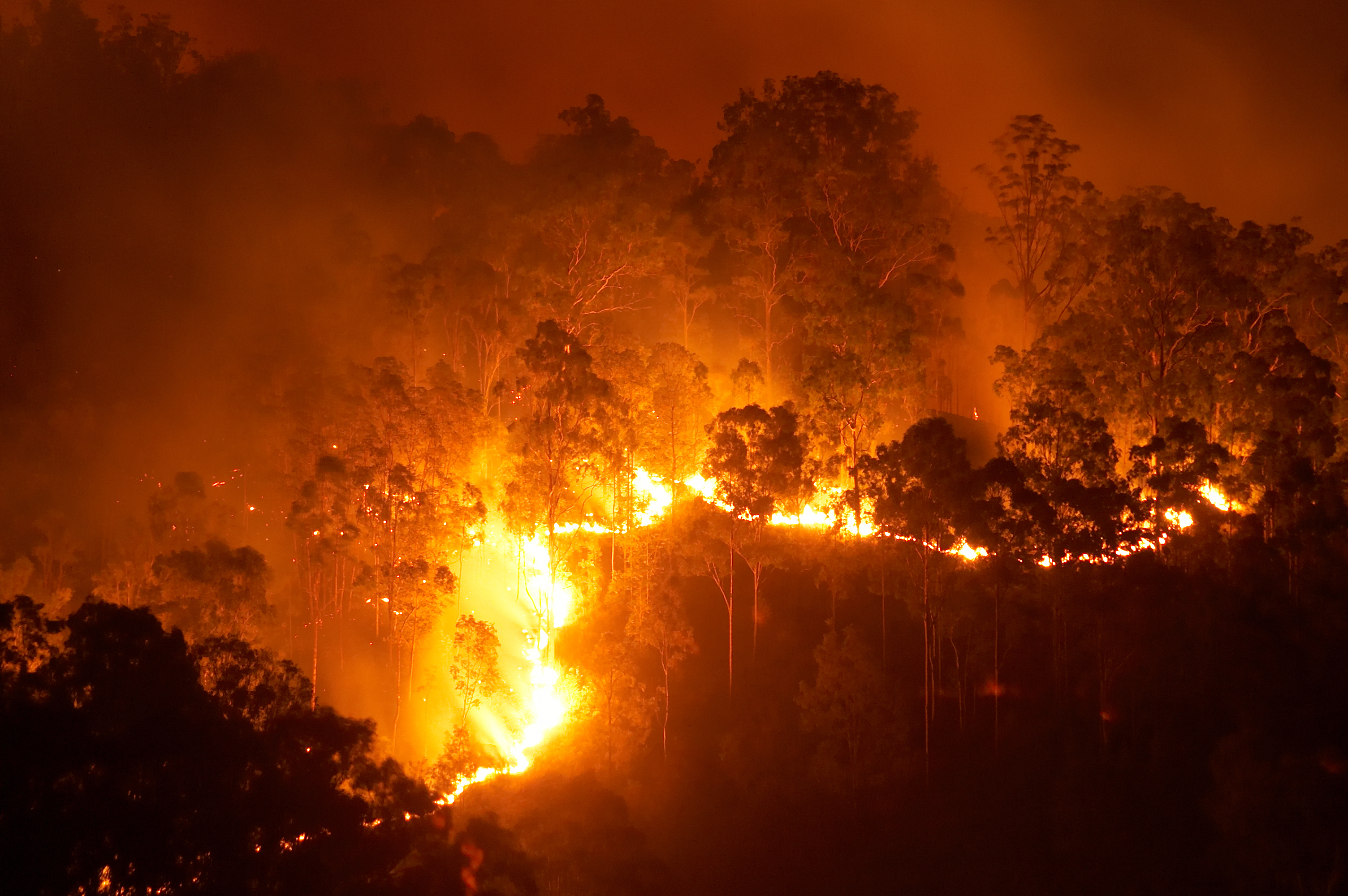 Maui Strong: Help Lahaina Town and Maui Recover from the Fires - Please Donate Now! - Hawaii Real Estate Market & Trends - Vimarsana News