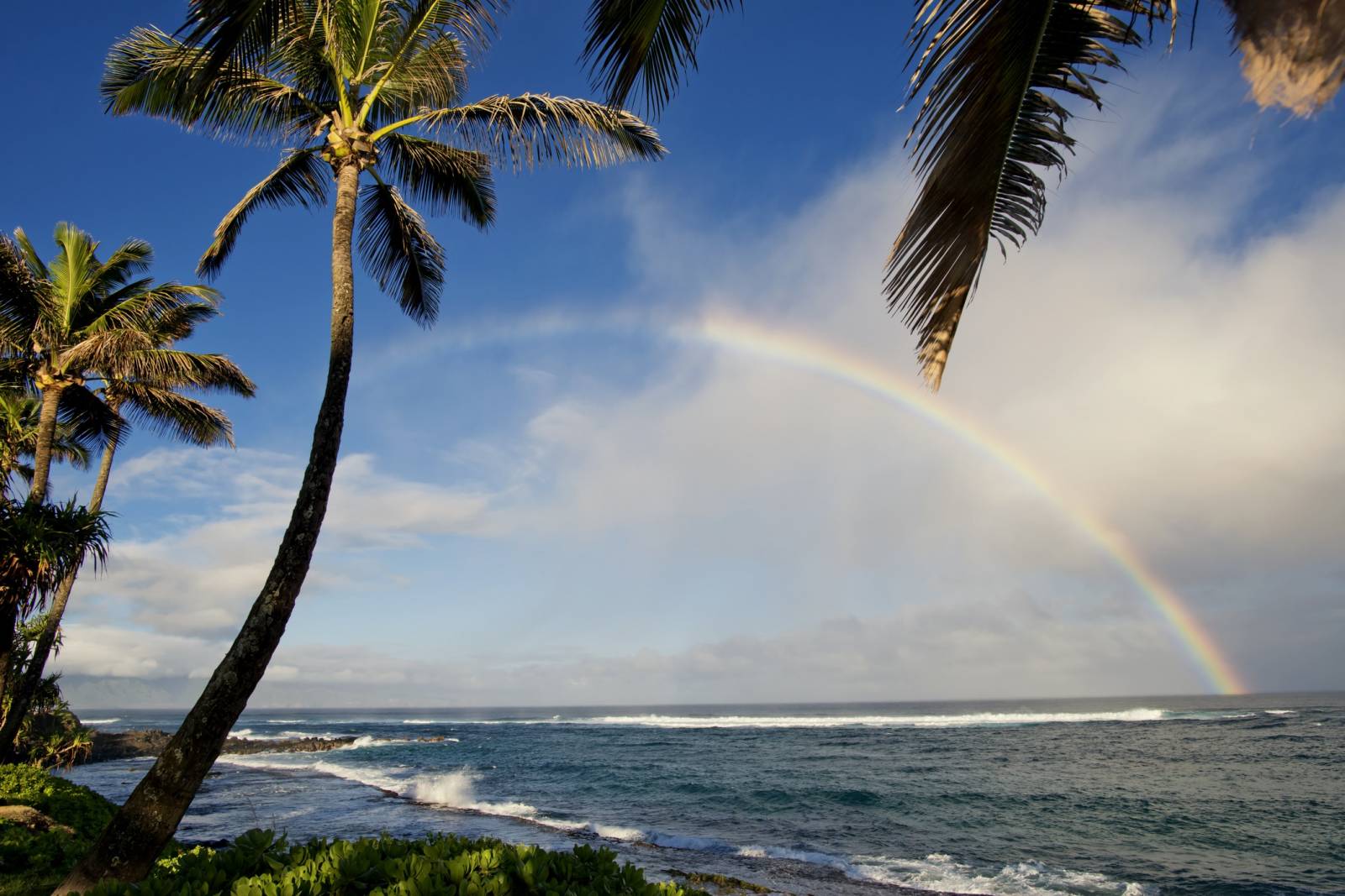 Guide for Moving to Hawaii 2024 Hawaii Real Estate Market & Trends