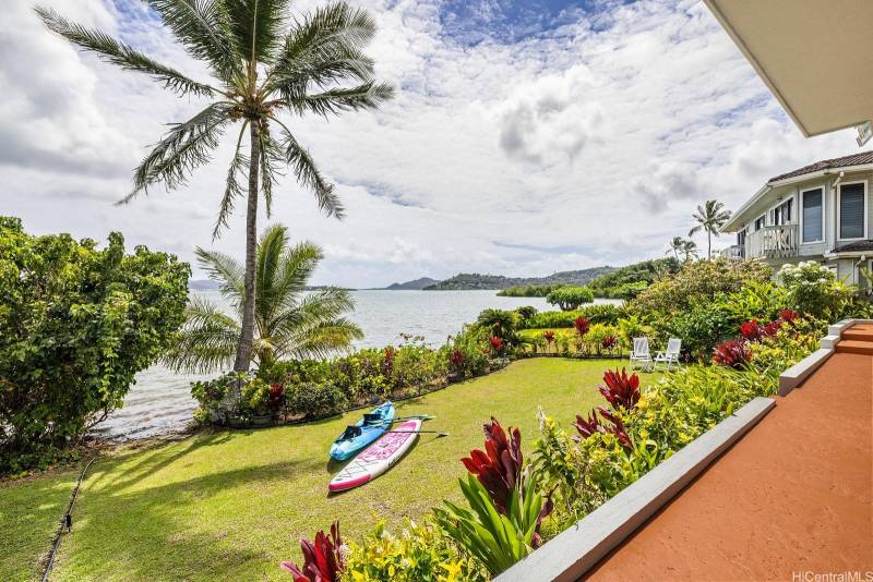 grass backyard at kaneohe home for sale