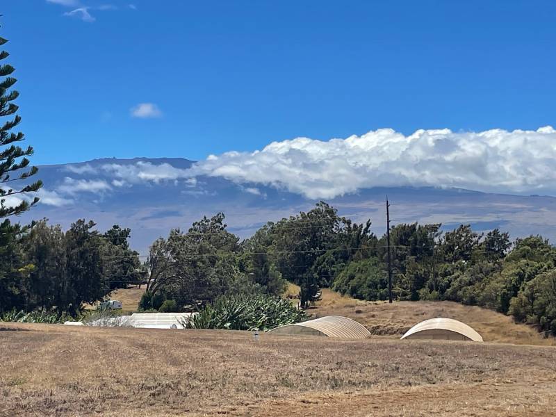 land for sale in kamuela big island with mauna kea in background