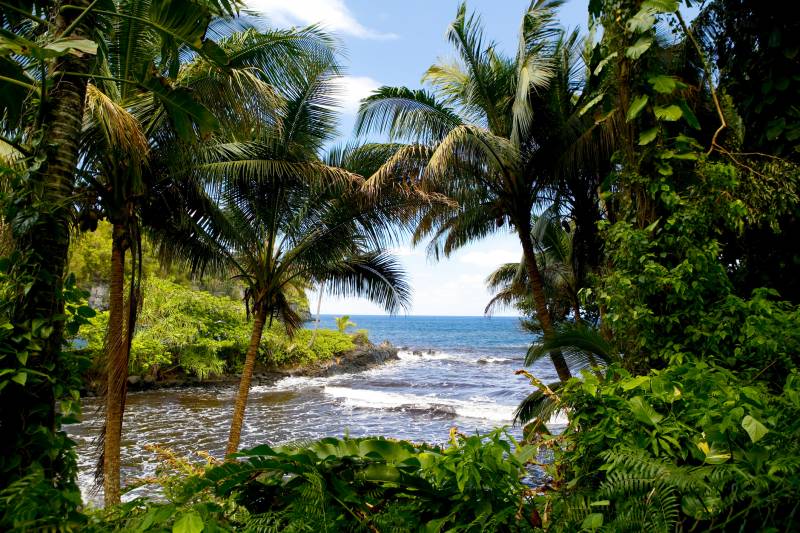 New data reveals 10s of thousands visit 2 Hilo beach parks in single month;  residents express concern : Big Island Now