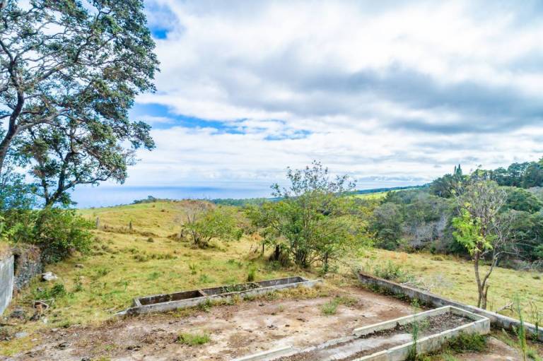 5Acre Plot of Land on the Big Island's Hamakua Coast Hawaii Real